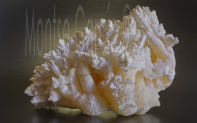 Aragonita coraloide