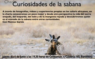 Charla sobre comportamiento animal: “Curiosidades de la sabana” Barcelona
